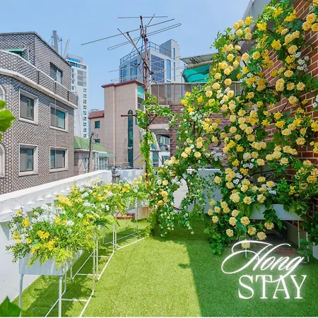 Hong Stay